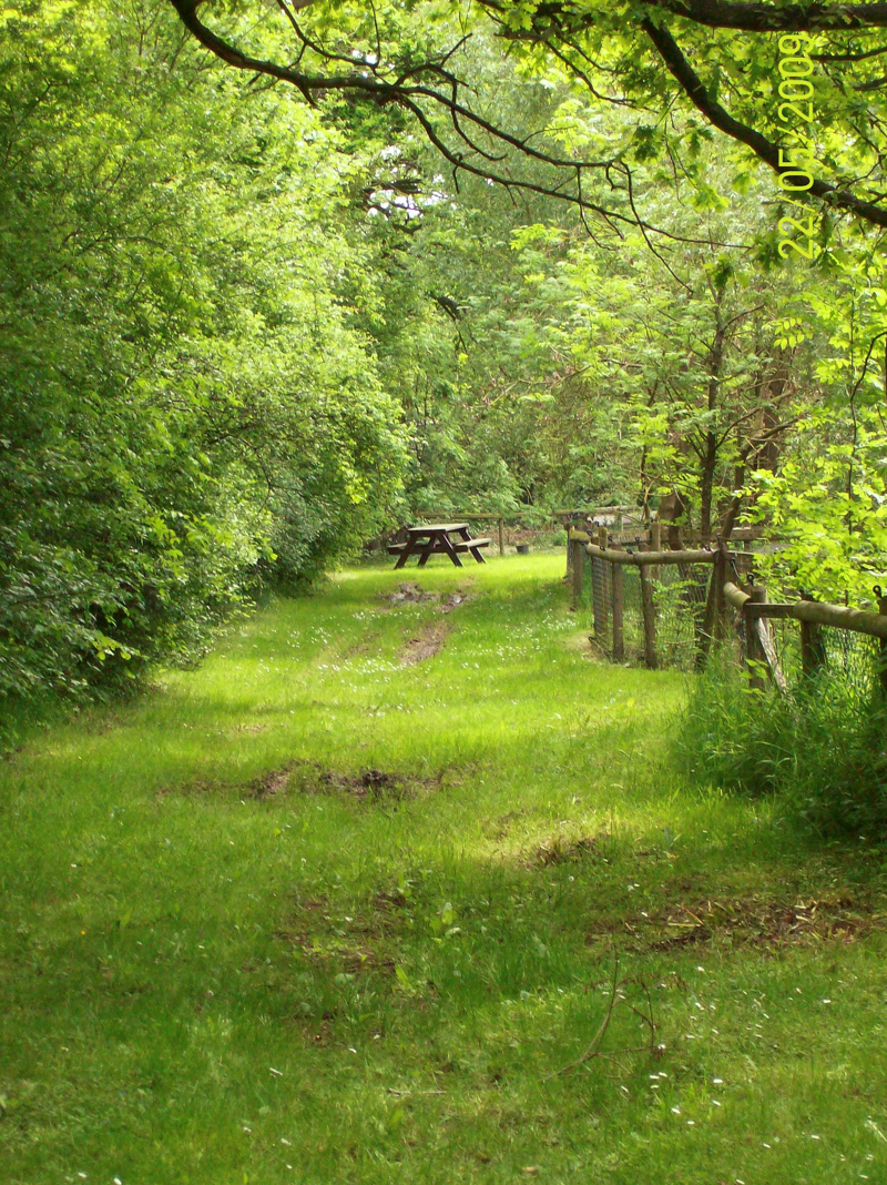 Animals at the sanctuary